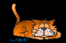Visit My Purrfect Place