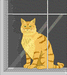 Visit My Purrfect Place