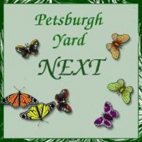 Petsburgh Yard Ring - Next Site