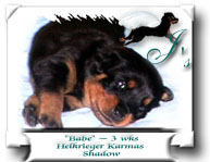 Babe at 3 weeks