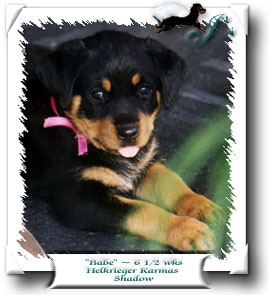 Babe at 6 weeks