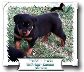 Babe at 7 weeks