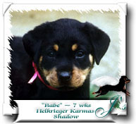 Babe at 7 weeks