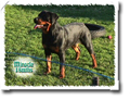 Click Here for Photo Enlargement