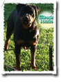 Click Here for Photo Enlargement