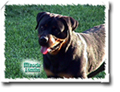 Click Here for Photo Enlargement