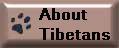 About Tibetans