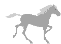galloping horse