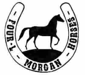 Four-L-Morgan Horse Logo