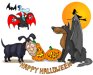 Happy Halloween!