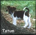 Tatum