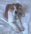 Louie