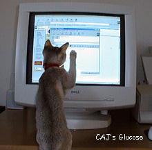 What mouse?