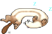 fuzzies011.gif