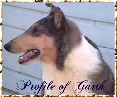 Garthprofile.jpg (31555 bytes)