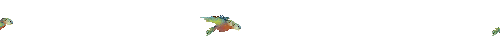 bird33.gif (20098 bytes)