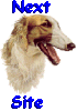 bsnextsite.gif (4557 bytes)