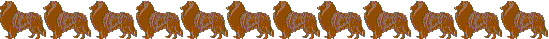 colliebar01.gif (5395 bytes)