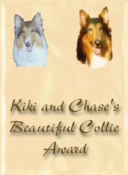 kikchaseaward2.gif (22980 bytes)