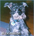 Maximillion