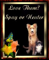 Love Them? Spay or Neuter
