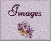 butterfly images to use