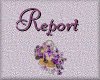  Butterfly report