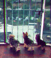 We're watching!