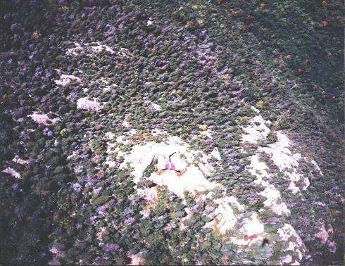 Au dessus de La Légende