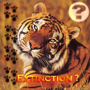 Will they be extinct soon ?