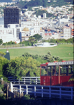 Wellington - Ilegal to Copy 