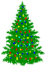 To Tree Lot 1