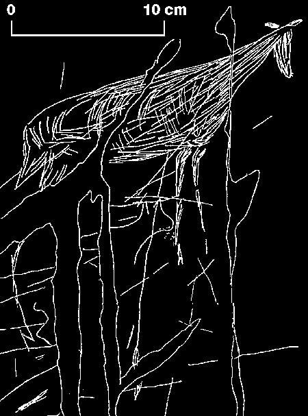 quadruped figure