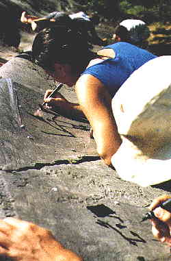 Rock Art tracing