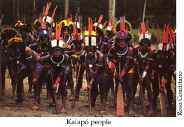 Kaiapo Indians