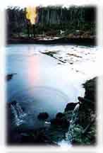 Oil Rig in the Rainforest