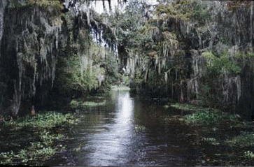 The Manshac Swamp