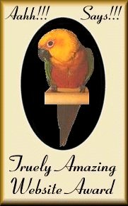 Truely Amazing Website Award