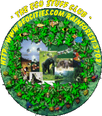 Eco Stuff Club!