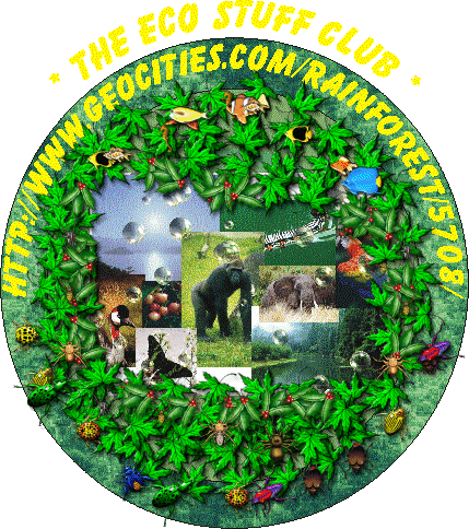 Eco Stuff Club!