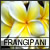 Frangipanis