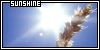 Sunshine