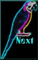Next Site
on the Parrot Ring