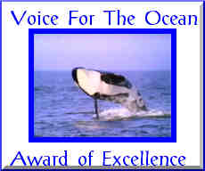 Voice for the Ocean Award from TiggerLily