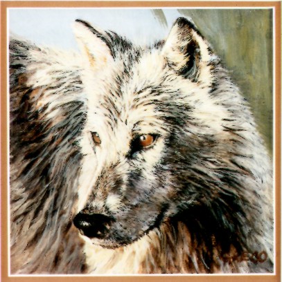 Arctic Wolf
