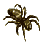 bug