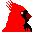 cardinal