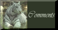 Comments
