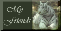 My Friends