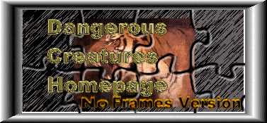 No Frames Version logo